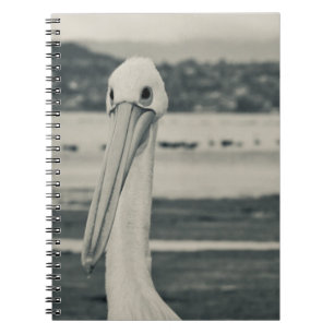 Carnet Photographie du pélican noir et blanc