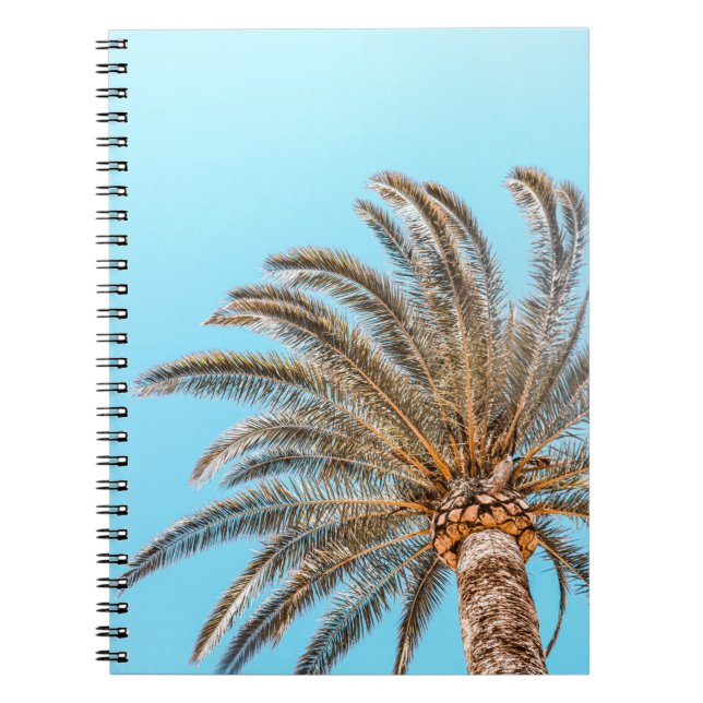 Carnet Photographie en angle bas d'un palmier vert sous u (Devant)