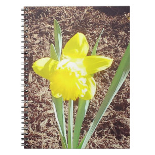Carnet Photographie jonquille du printemps jaune