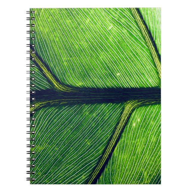 Carnet Photographie macro de la feuille verte (Devant)