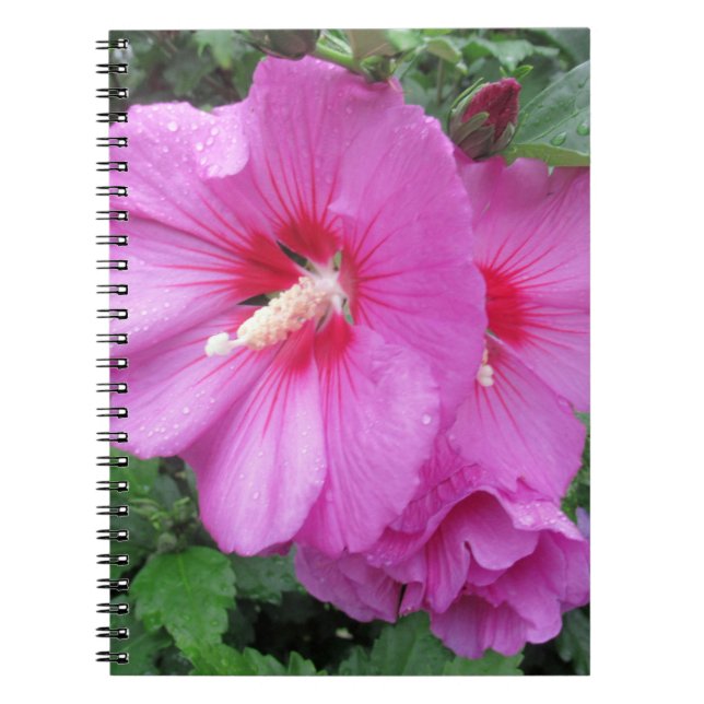 Carnet Photographie rose florale (Devant)