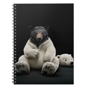 Carnet Photos d'ours polaires pour bébé Salle de soin