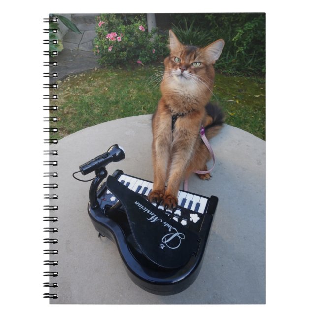 Carnet Piano Chat, Funny Musicien de chat somalien Jouer  (Devant)