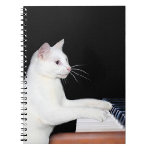 Carnet Piano jouant le chat
