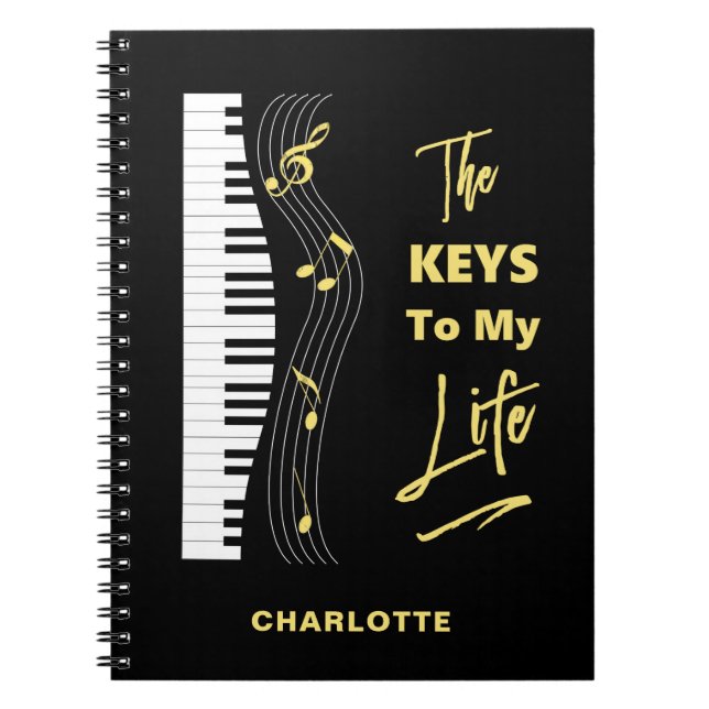 Carnet Piano Keyboard Players Fun Music Notes (Devant)