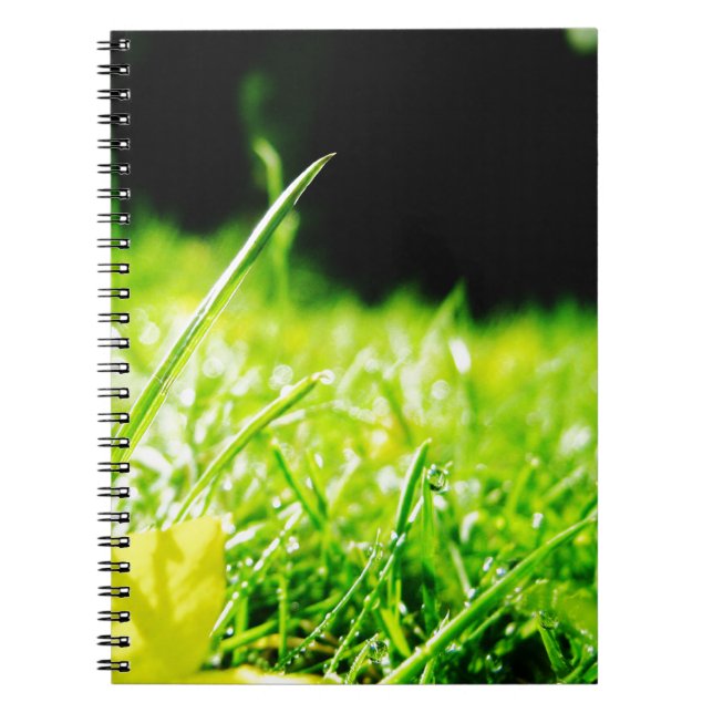 Carnet piaulement (Devant)