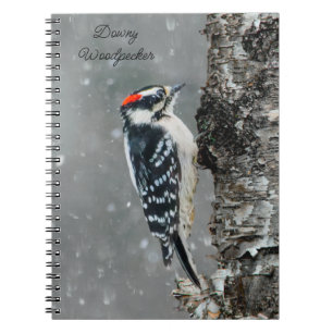 Carnet Pic Downy en neige - Photo originale