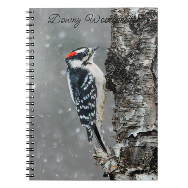Carnet Pic Downy en neige - Photo originale (Devant)