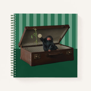 Carnet Pickett & Teddy in Briefcase
