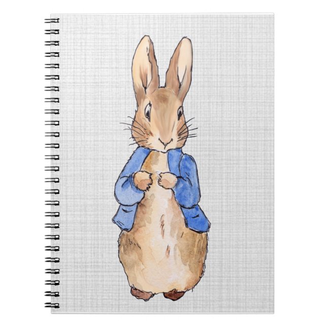 Carnet Pierre avec un arrière - plan de lin gris (Devant)