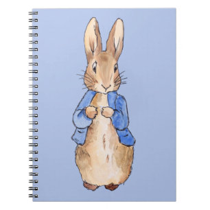Carnet Pierre sur fond bleu