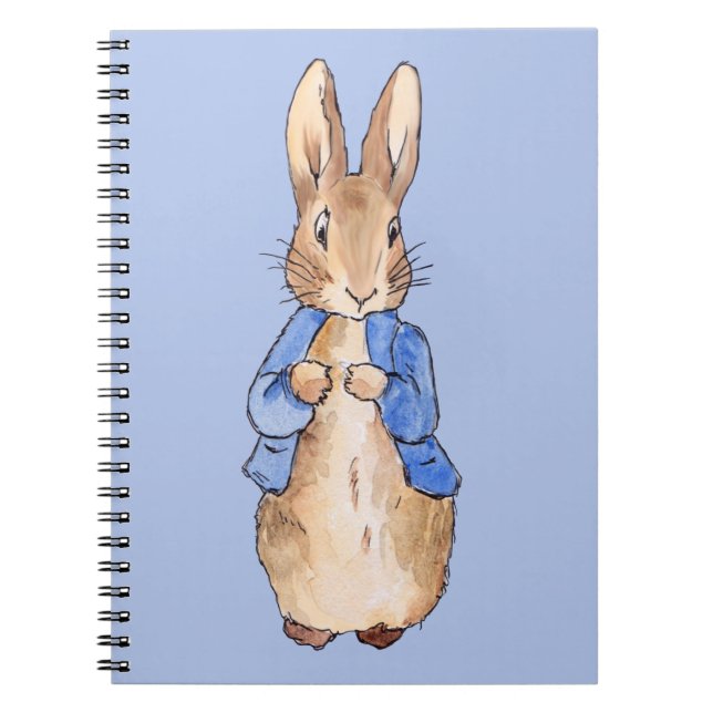 Carnet Pierre sur fond bleu (Devant)