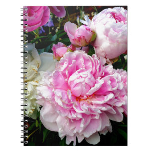Carnet Pies roses et blanches
