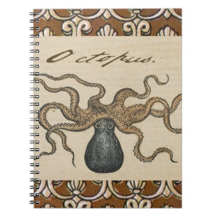 Carnet Pieuvre Kraken Antique Faune Marine Côtière