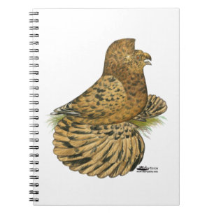 Carnet Pigeon Almond