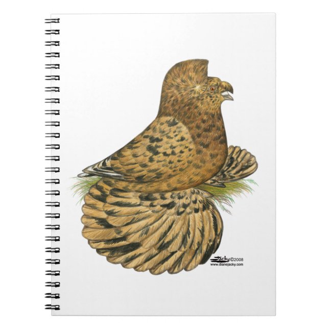 Carnet Pigeon Almond (Devant)