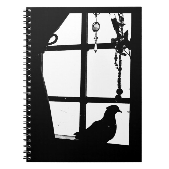 Carnet Pigeon après-midi (Devant)