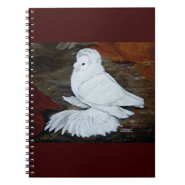 Carnet Pigeon trompette anglais blanc (Devant)
