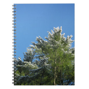 Carnet Pin à pointes de neige sur le ciel bleu