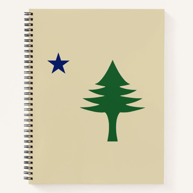 Carnet Pin et étoile 1901 drapeau de l'état du Maine (Devant)