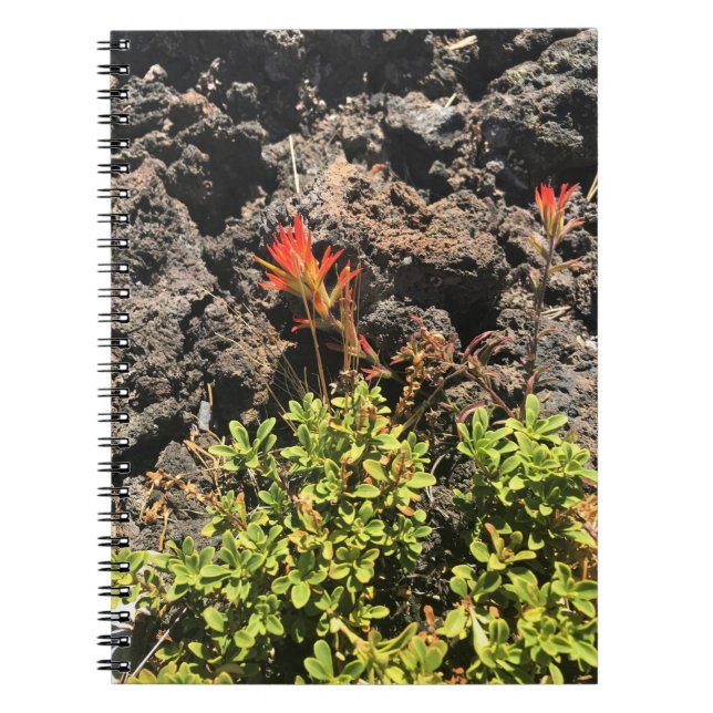 Carnet Pinceau indien (Devant)