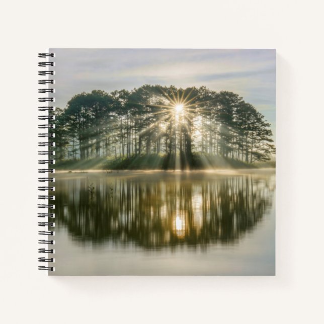 Carnet Pine Island Sunray (Devant)