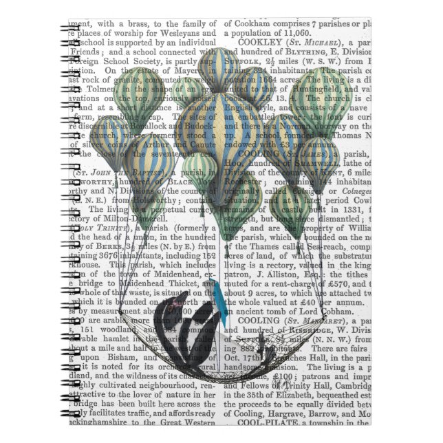 Carnet Pingouin dans le ballon Hammock (Devant)