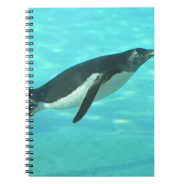 Carnet Pingouin nageant sous l'eau (Devant)