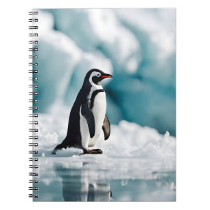 Carnet Pingouin Sur Iceberg