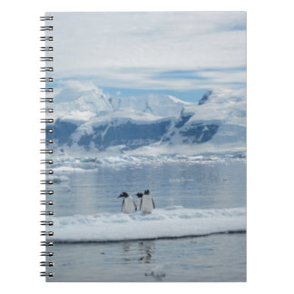 Carnet Pingouins sur un iceberg
