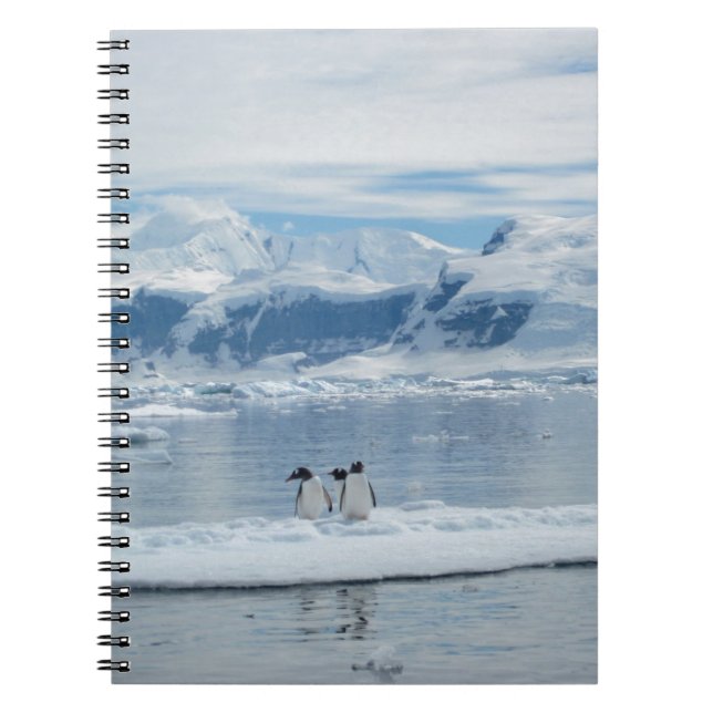 Carnet Pingouins sur un iceberg (Devant)