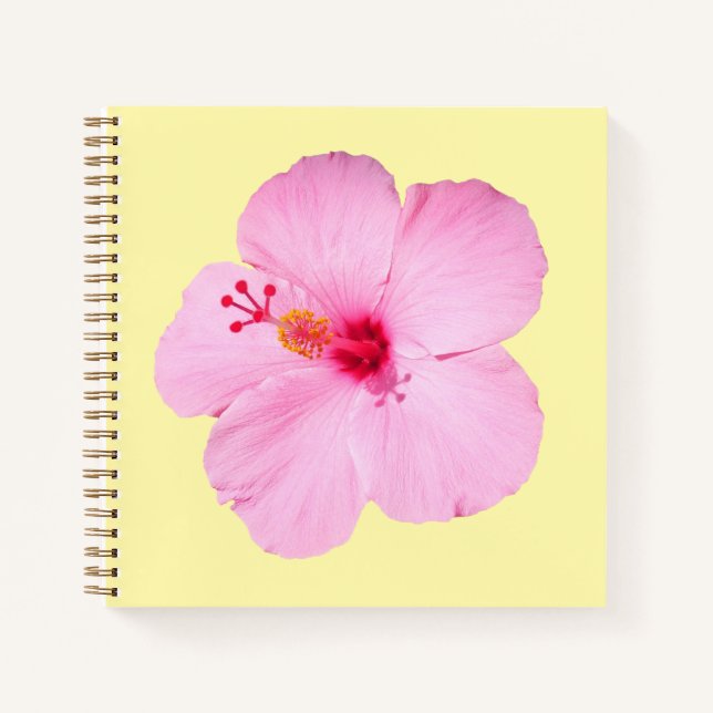 Carnet Pink Hibiscus Tropical Flower (Devant)