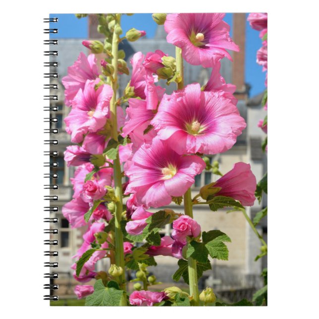 Carnet Pink hollyhocks fleurs carte postale autocollant c (Devant)