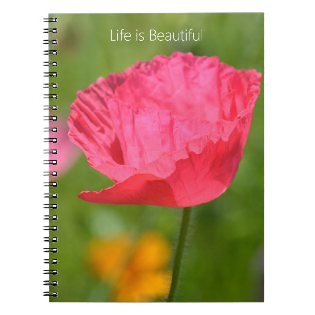 Carnet Pink Iceland Poppy Flower Garden (my photography) (Devant)