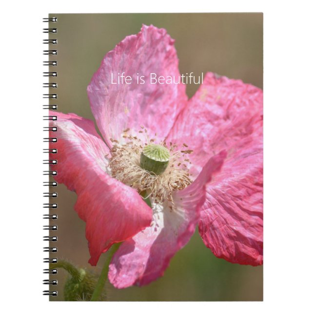 Carnet Pink Iceland Poppy Flower (my photography) (Devant)