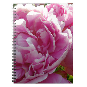Carnet Pink Peony photo cottage ferme jardin fleuri