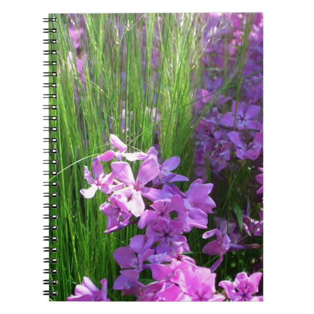 Carnet Pink Phlox et Grass été Floral (Devant)