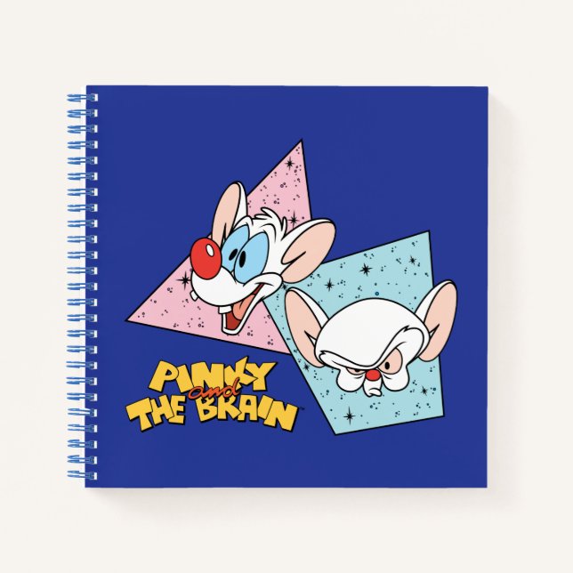 Carnet Pinky et le cerveau | Graphiques de caractères rét (Devant)