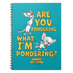 Carnet Pinky et le cerveau Vous Pensez ?