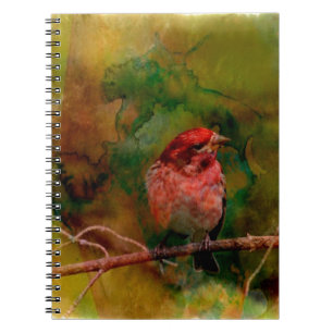 Carnet Pinson pourpre