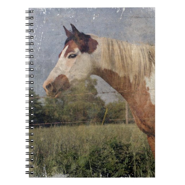 Carnet Pinto Horse Grunge (Devant)