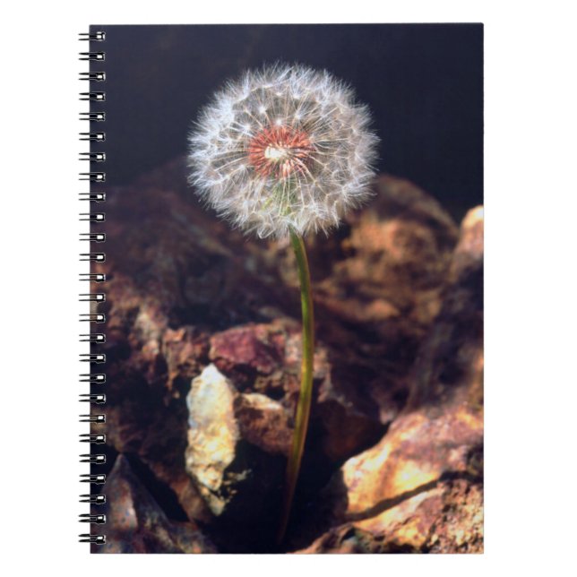 Carnet Pissenlit (Devant)