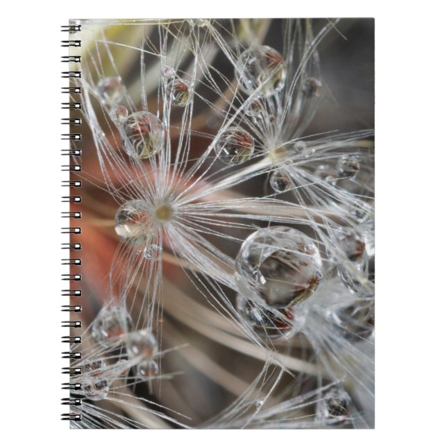 Carnet Pissenlit Abstrait (Devant)