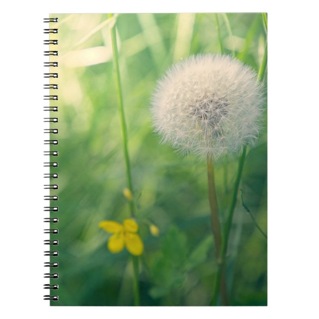 Carnet Pissenlit dans la verdure avec une douce lumière e (Devant)