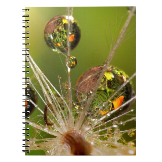 Carnet Pissenlit et gouttelettes d'eau (Devant)