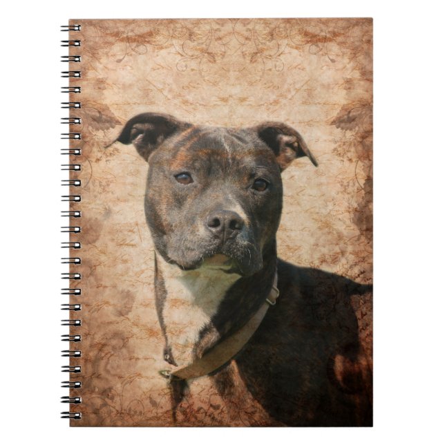 Carnet Pit Bull Terrier (Devant)