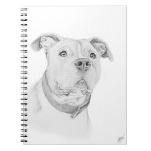 Carnet Pitbull, mal compris