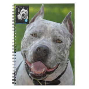 carnet @PitBullSharky ! Visage heureux de sourire