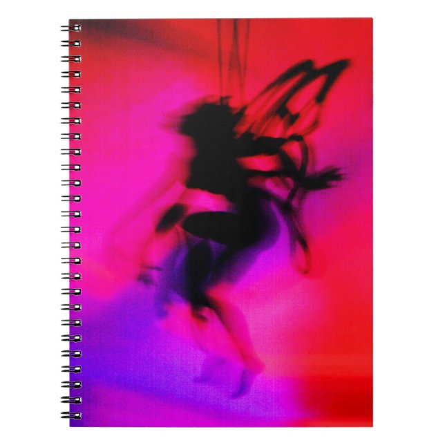 Carnet Pixie Danser en rose (Devant)