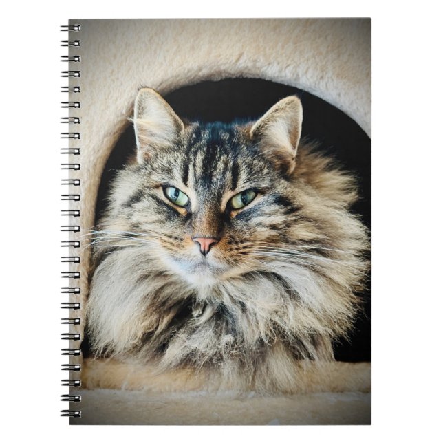 Carnet Pixie Spiral Notebook (Devant)
